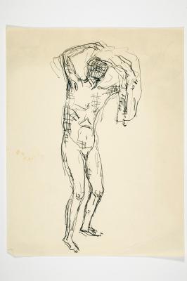 Standing Male Nude with Raised Arms