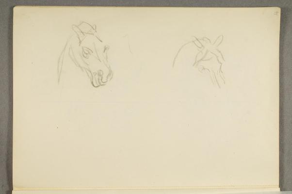 To skisser av hestehoder