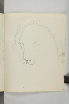 Unfinished Head of a Lion
