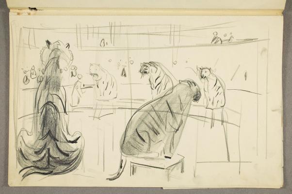 Tigers at the Circus
