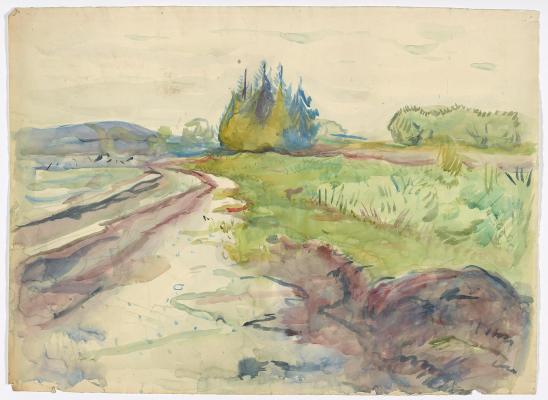 Beach Landscape