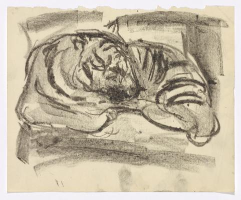Original Drawing for "Sleeping Tiger"