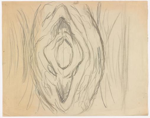 Sketch of a Vulva