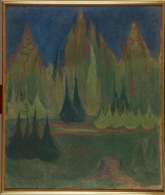 Dark Spruce Forest