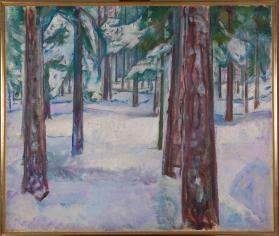 Skog i snø