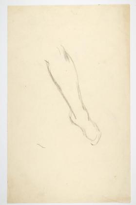 Legg, studie